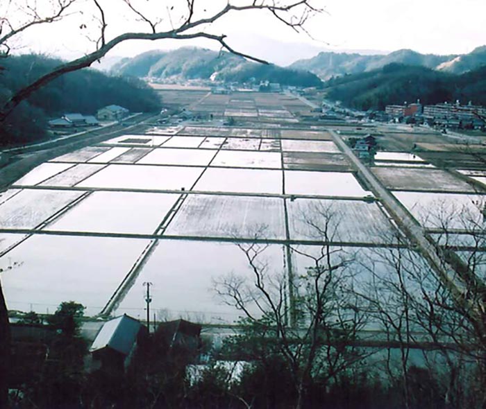 Winter-flooded rice paddies