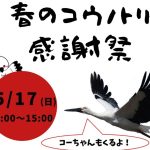 2026春のコウノトリ感謝祭